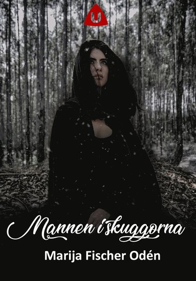 Mannen i skuggorna (e-bok)