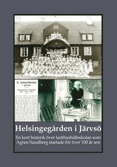 Helsingegrden i Jrvs : en kort historik ver lanthushllsskolan som Agnes Sundberg startade fr ver 100 r sen (hftad)