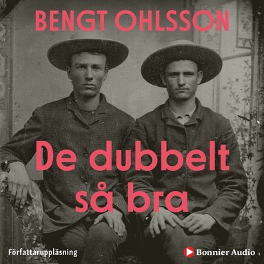 De dubbelt s bra (e-bok)