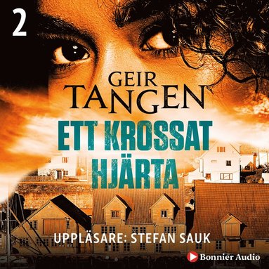 Ett krossat hjrta (e-bok)