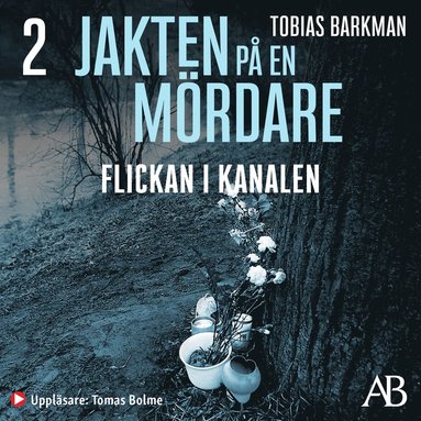 Flickan i kanalen (pocket)