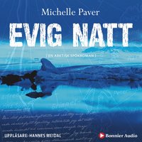 Evig natt : en arktisk spökroman (ljudbok)