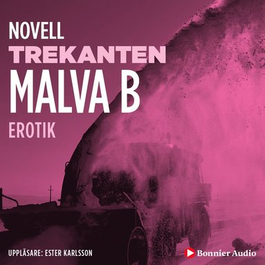 Trekanten : en novell ur Begr (ljudbok)