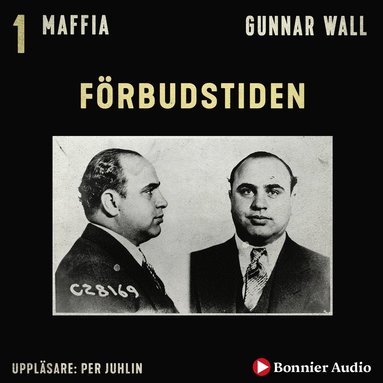 Förbudstiden (pocket)