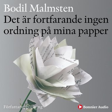 Det r fortfarande ingen ordning p mina papper (ljudbok)