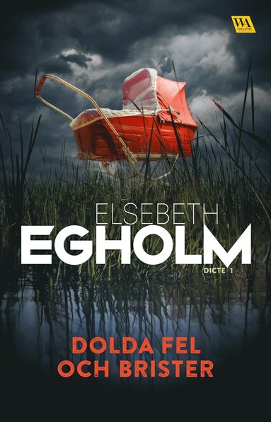 Dolda fel och brister (e-bok)