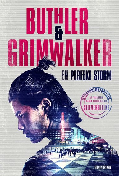 En perfekt storm (e-bok)