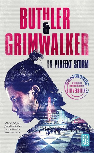 En perfekt storm (pocket)