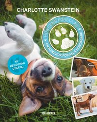 Hundens första år : en handbok för alla hundägare (häftad)