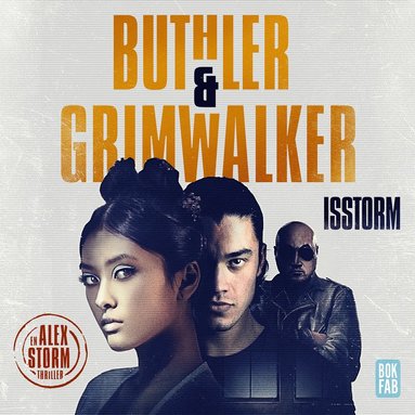 Isstorm (ljudbok)