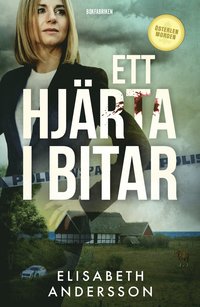 Ett hjrta i bitar (inbunden)