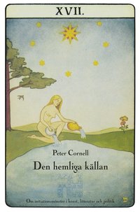 Den hemliga kllan : om initiationsmnster i konst, litteratur och politik (hftad)