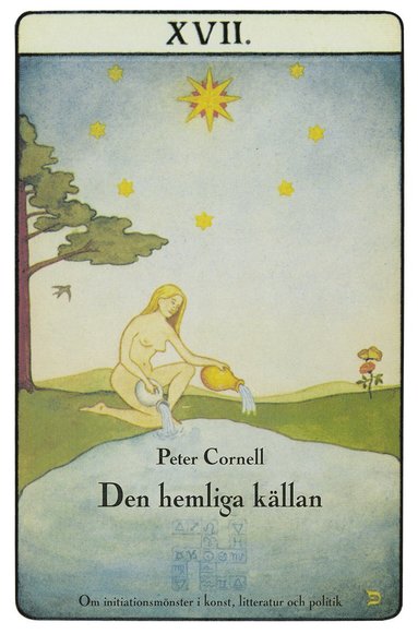 Den hemliga k�llan : om initiationsm�nster i konst, litteratur och politik (h�ftad)