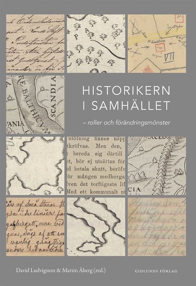 Historikern i samh�llet : roller och f�r�ndringsm�nster (pocket)