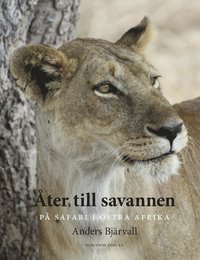 Åter till savannen : på safari i Östra Afrika (inbunden)