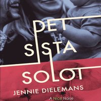 Det sista solot (mp3-skiva)