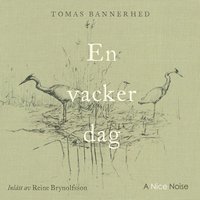 En vacker dag (mp3-skiva)