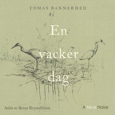 En vacker dag (pocket)