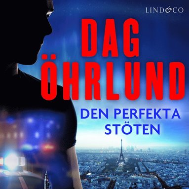 Den perfekta stten (ljudbok)