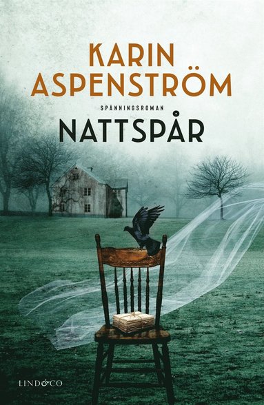 Nattspr (e-bok)