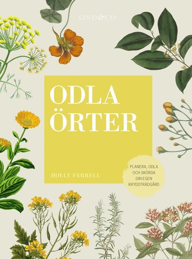 Odla rter : planera, odla och skrda  din egen kryddtrdgrd (kartonnage)