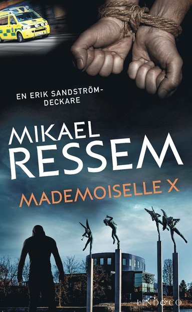Mademoiselle X  (e-bok)