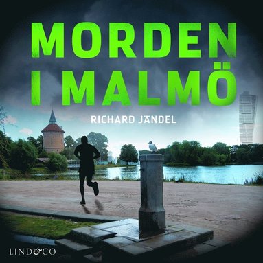 Morden i Malm (ljudbok)
