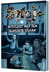 Omslag: Mysteriet med den hemsökta stugan