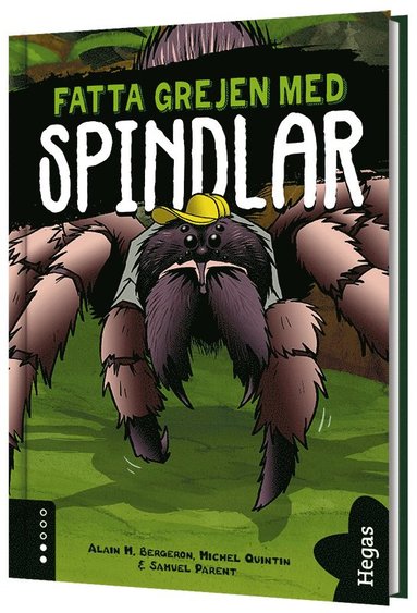 Fatta grejen med spindlar (inbunden)