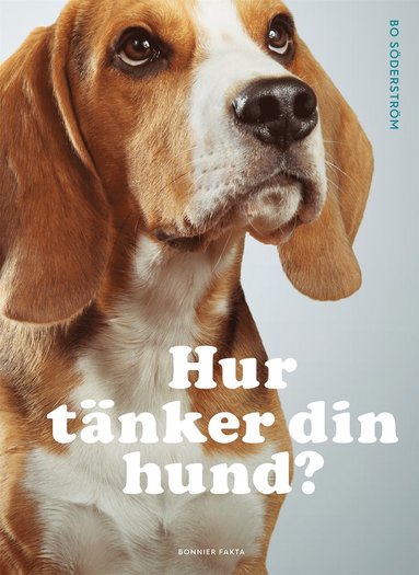 Hur tänker din hund? (inbunden)