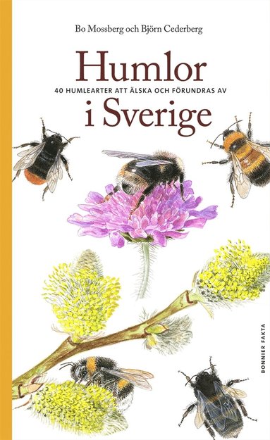 Humlor i Sverige : 40 arter att lska och frundras ver (e-bok)