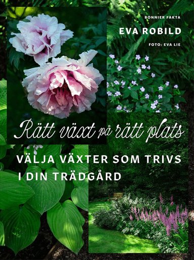 R�tt v�xt p� r�tt plats : v�lja v�xter som trivs i din tr�dg�rd (inbunden)