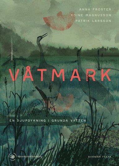 Vtmark : en djupdykning i grunda vatten (pocket)