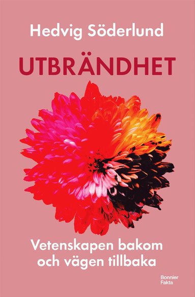 Utbrndhet : Vetenskapen bakom och vgen tillbaka (hftad)