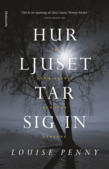 Hur ljuset tar sig in (En kommissarie Gamache-deckare) (e-bok)