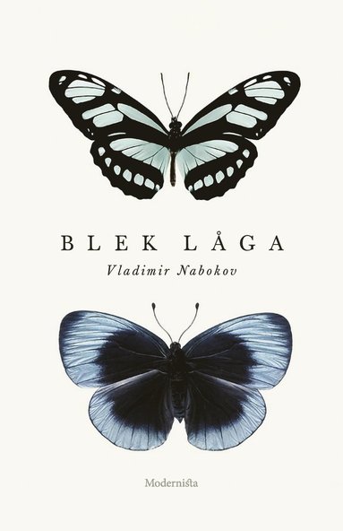 Blek låga (pocket)