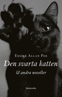 Den svarta katten och andra noveller (inbunden)