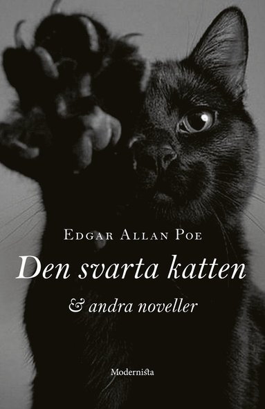 Den svarta katten och andra noveller (pocket)