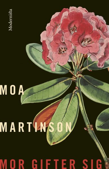 Mor gifter sig (e-bok)