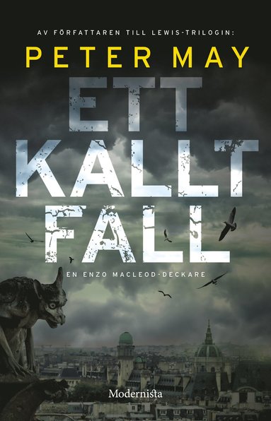 Ett kallt fall (pocket)