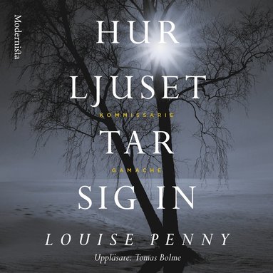 Hur ljuset tar sig in (pocket)