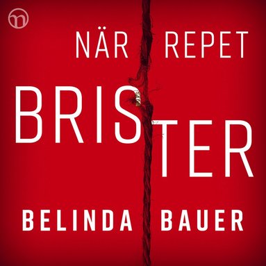 Nr repet brister (e-bok)