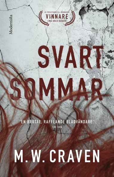 Svart sommar (inbunden)
