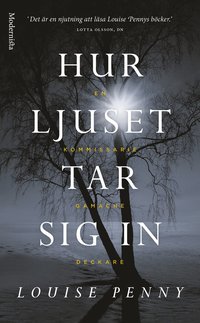 Hur ljuset tar sig in (pocket)