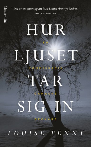 Hur ljuset tar sig in (pocket)