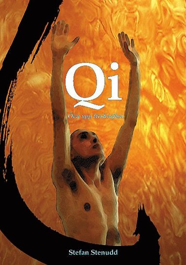 Qi : va upp livskraften (hftad)