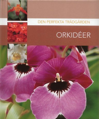Orkider (kartonnage)
