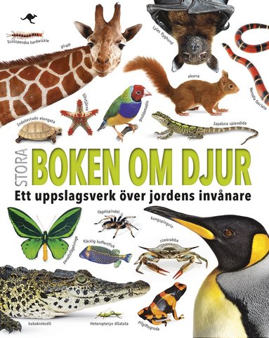 Stora boken om djur : ett uppslagsverk ver jordens invnare (inbunden)