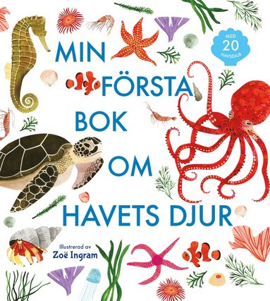 Min frsta bok om havets djur (inbunden)