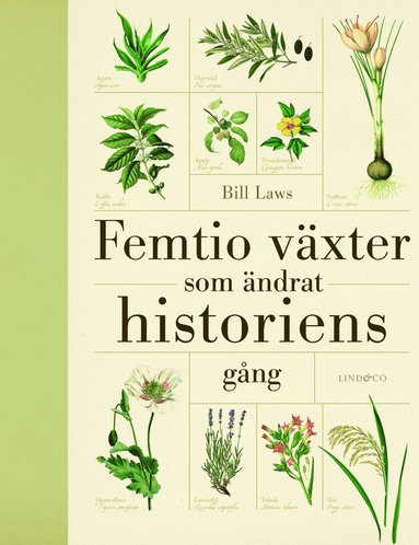 Femtio vxter som ndrat historiens gng (inbunden)